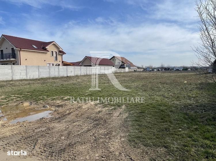 Teren intravilan 1000 MP | Cartierul Grigorescu | Oradea - 2
