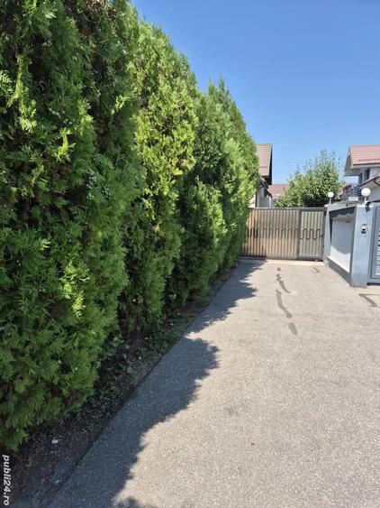 Casă cu 8 camere cu Teren 800 Mp în Central