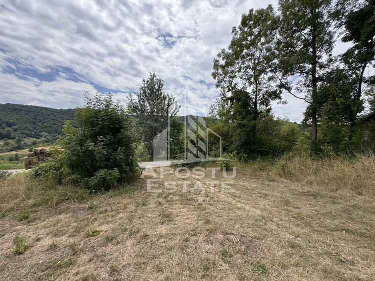 Teren Construcții intravilan de 7492 mp, în Fornădia
