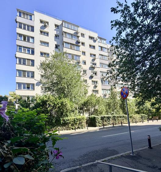Cozy Studio luminos in Banu Manta - Victoriei cu pat si canapea - 15