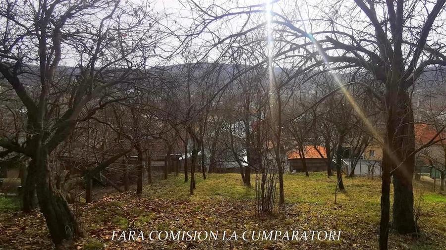 Casă cu 3 camere cu Teren 2013 Mp în Căzănești (Râmnicu Vâlcea)
