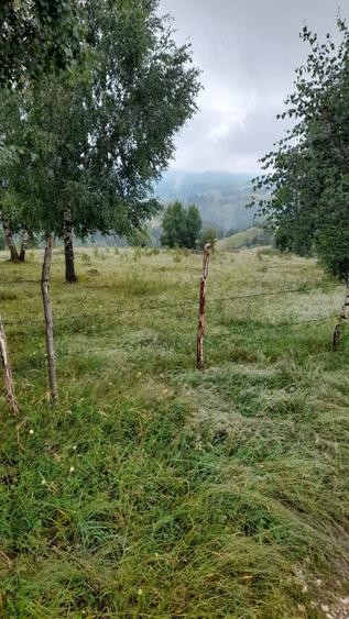 Teren Pestera 9 euro mp - 5