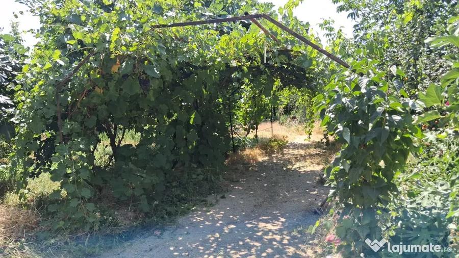 Casă cu 3 camere în Șarânga