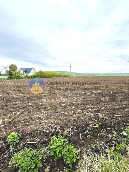 Teren agricol intravilan de 4500 mp, în Precista