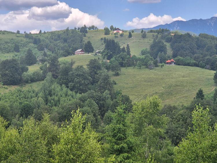 Teren de 1000 mp, în Drumul Carului