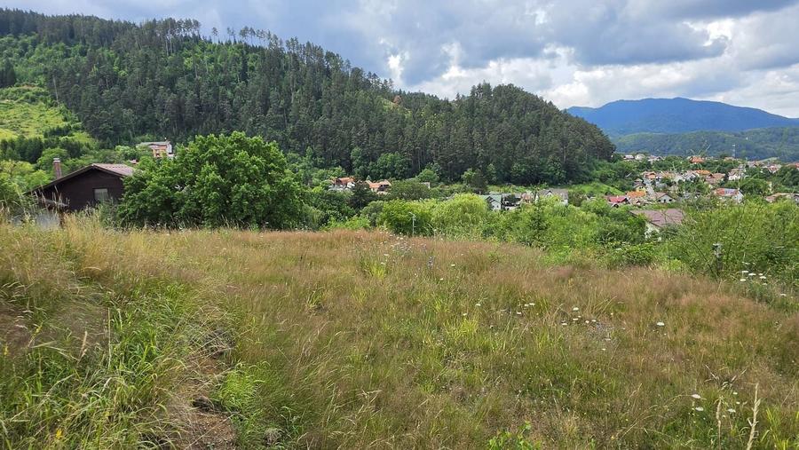 Teren Construcții intravilan de 850 mp, în Turcheș