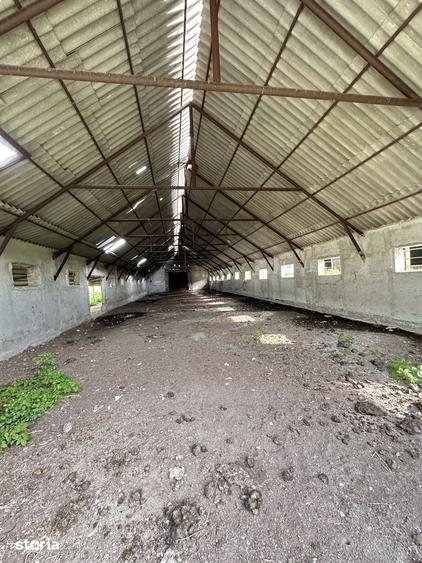 Teren de 115367 mp, în Runcu
