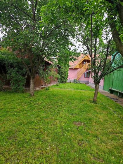 Casă în Central