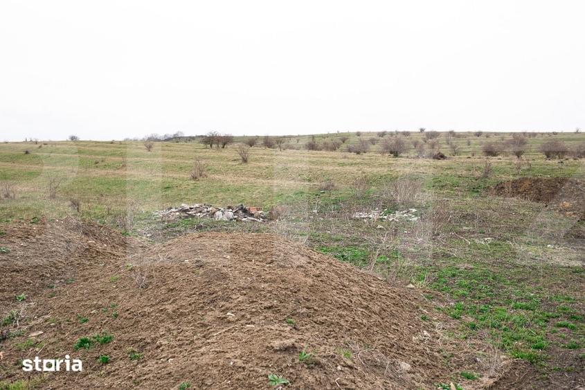 Teren de 5800 mp, în Apahida