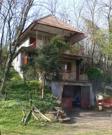 Teren de 7000 mp, în Spinuș