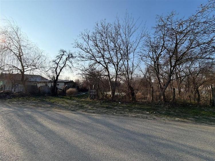 Teren Construcții intravilan de 6057 mp, în Rădulești