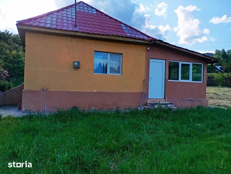 Casă cu 3 camere cu Teren 3000 Mp în Central