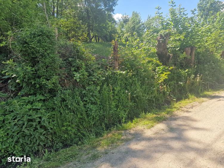 Teren de 3186 mp, în Poiana
