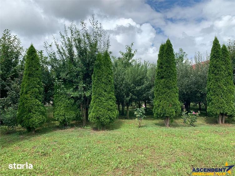 FILM! 1.409 mp teren intravilan,livada, utilitati, locatie premium: re - 3