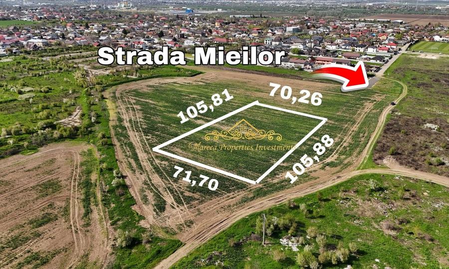 Teren Construcții intravilan de 7504 mp, în Glina