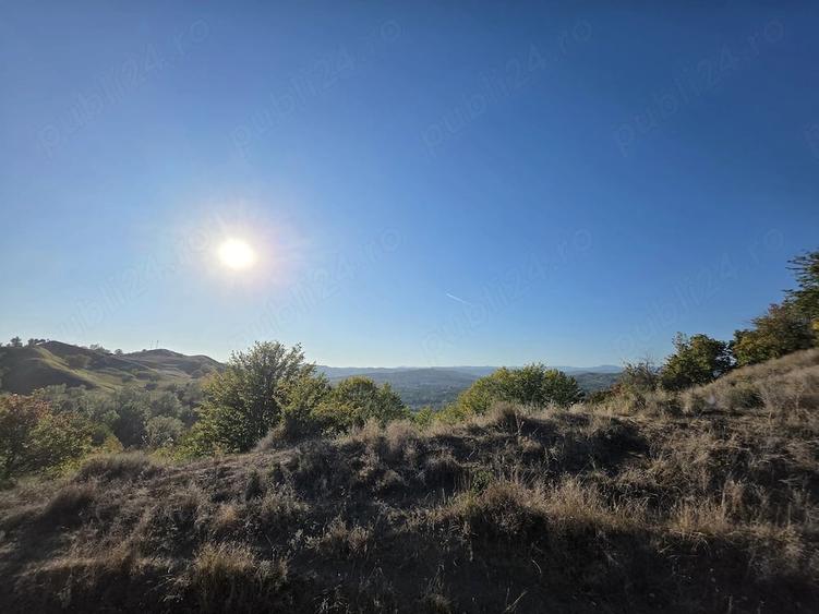 Teren de 9700 mp, în Dănulești