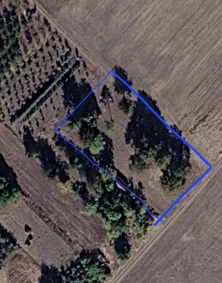 Teren de 1260 mp, în Peregu Mic