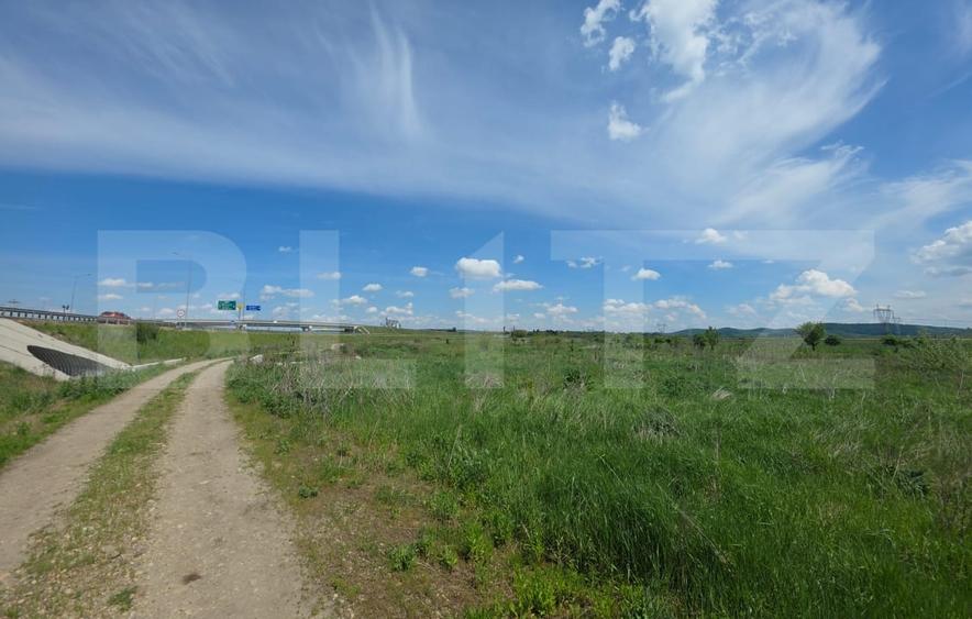 Teren agricol extravilan de 44376 mp, în Est