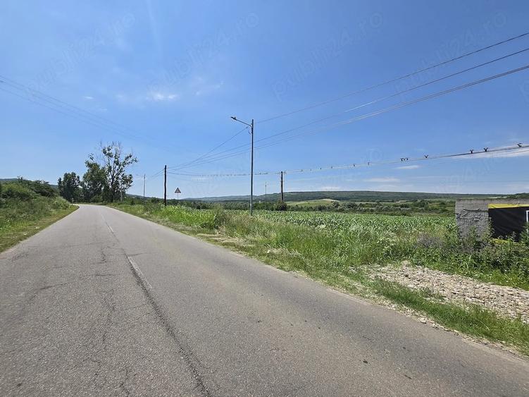 Teren de 2472 mp, în Plavia