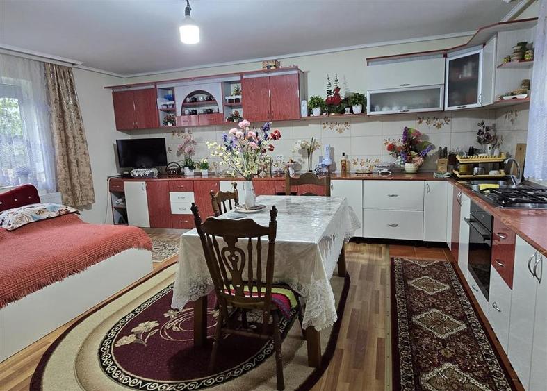 Casă individuală cu 11 camere cu Teren 5000 Mp în Central