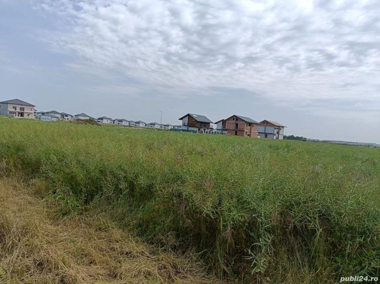 Teren de 4500 mp, în Dragomirești-Deal