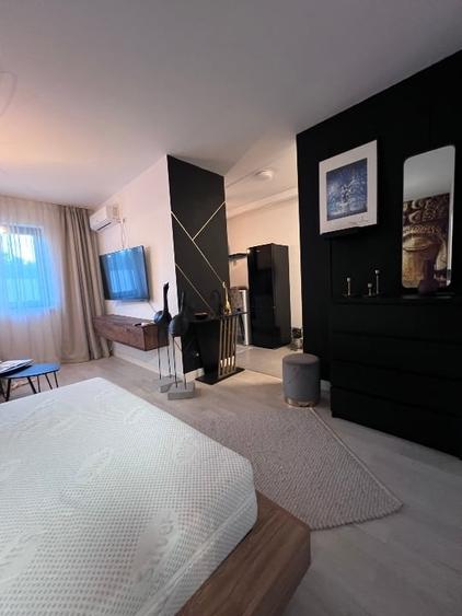 Studio dublu Aviatiei 10 min metrou Aurel Valicu , Promenada Mall, Herastrau - 11