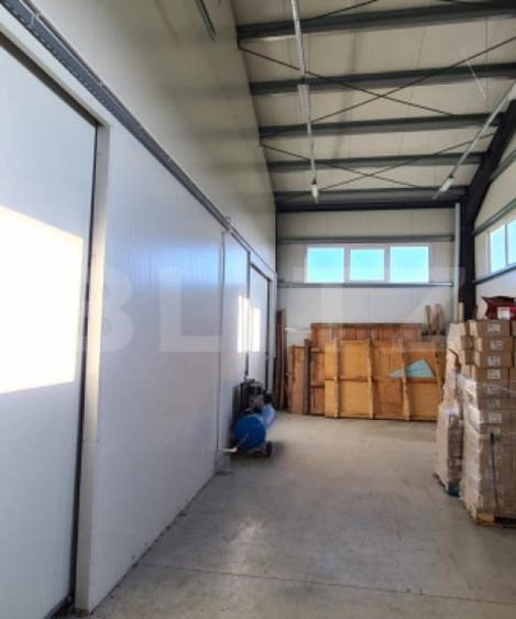 Hala depozitare/productie, 340 mp, Mitocasi - 10