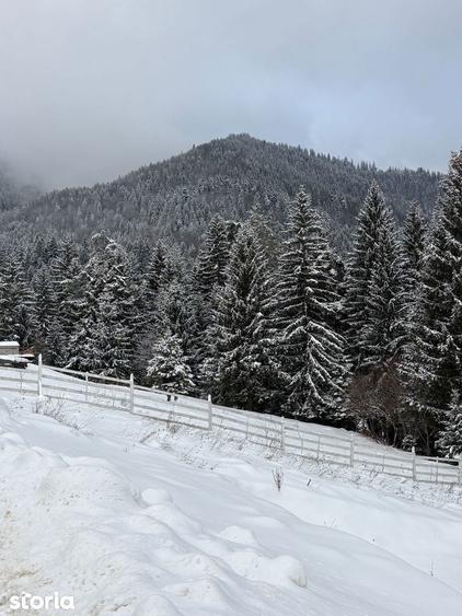 Teren de 580 mp, în Turcheș