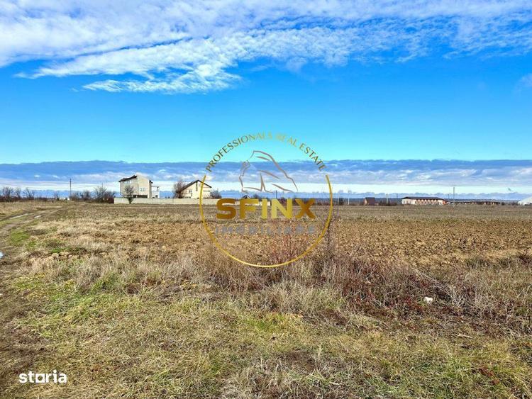 LOT de casa Tartasesti Primarie | teren cu potential - 5
