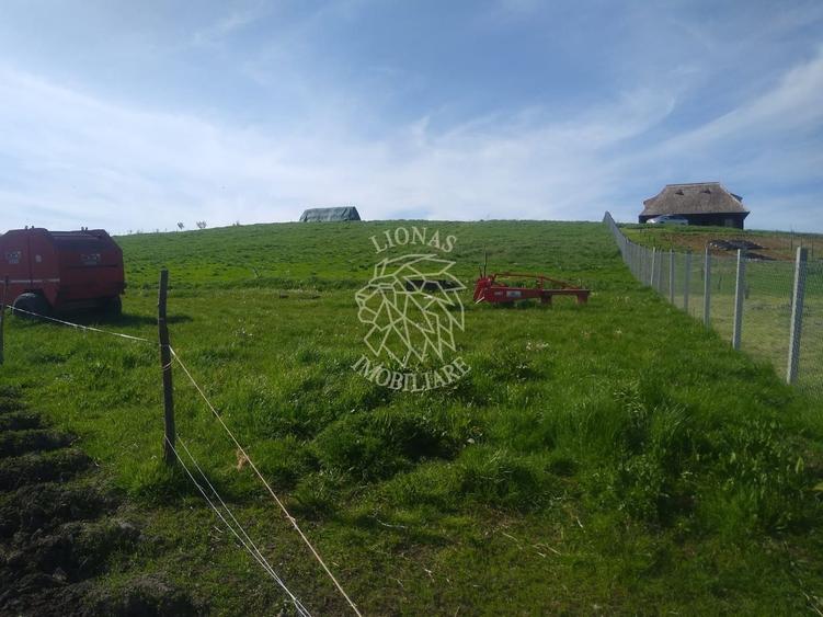Teren agricol extravilan de 2500 mp, în Monariu