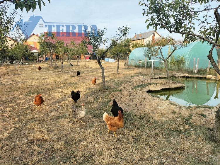 Casă individuală cu 7 camere cu Canalizare în Poiana Lacului