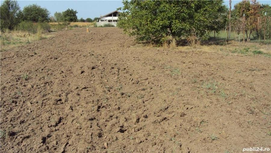 Teren de 2658 mp, în 1 Decembrie