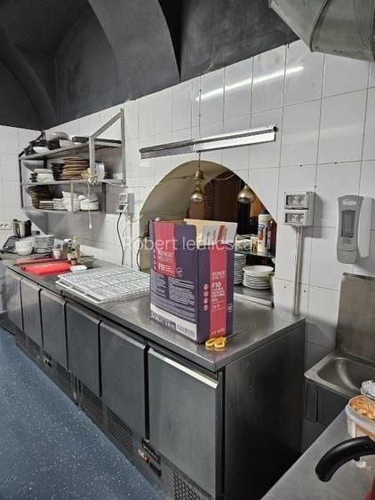 Spațiu comercial, de 300 mp, în Dosu Bricii
