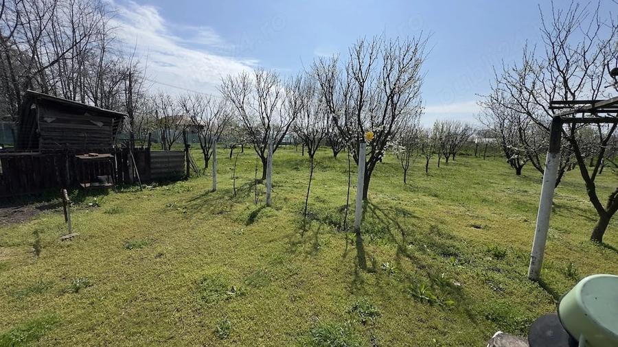 Casă cu 3 camere cu Teren 3000 Mp în Rasa
