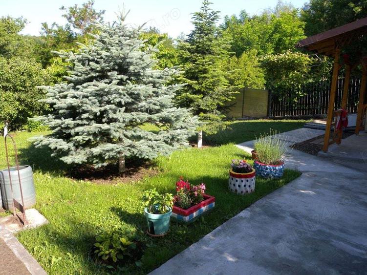 Casă cu 4 camere în Vălenii de Munte