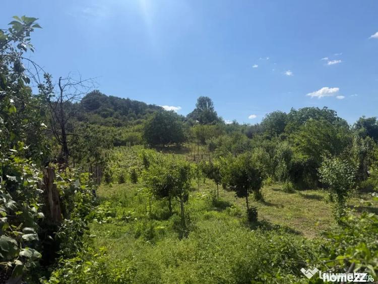 Casă cu 5 camere cu Teren 2000 Mp în Podari