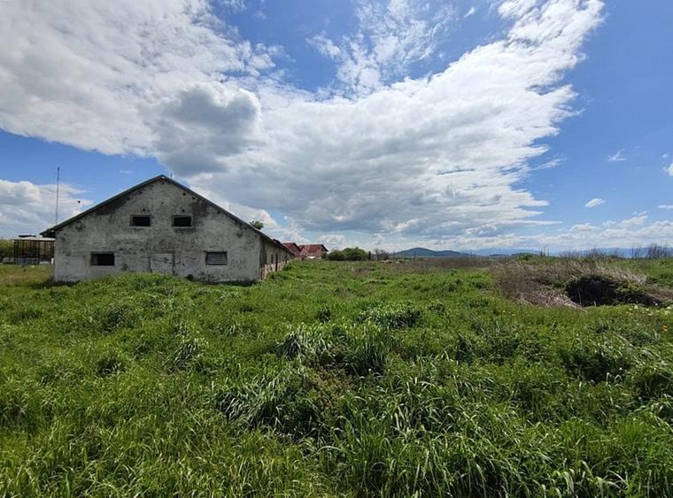 Teren parcelabil, 4,1 Ha, Brașov - Bod. Negociabil! - 6