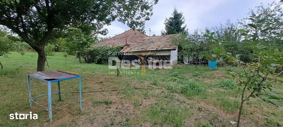 Casa + teren de 1715 mp Cornesti - 3
