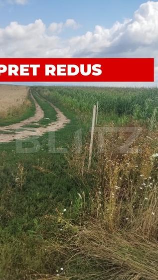 Teren agricol extravilan de 10000 mp, în Cristian