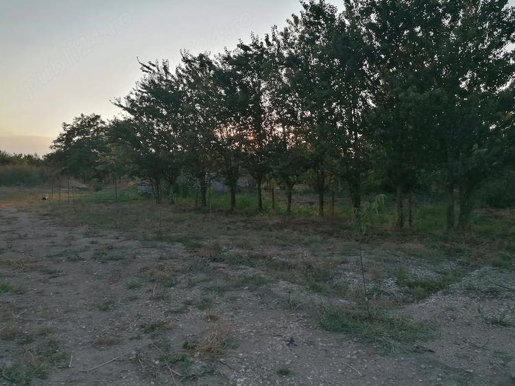 Casă cu 5 camere cu Teren 4500 Mp în Poiana