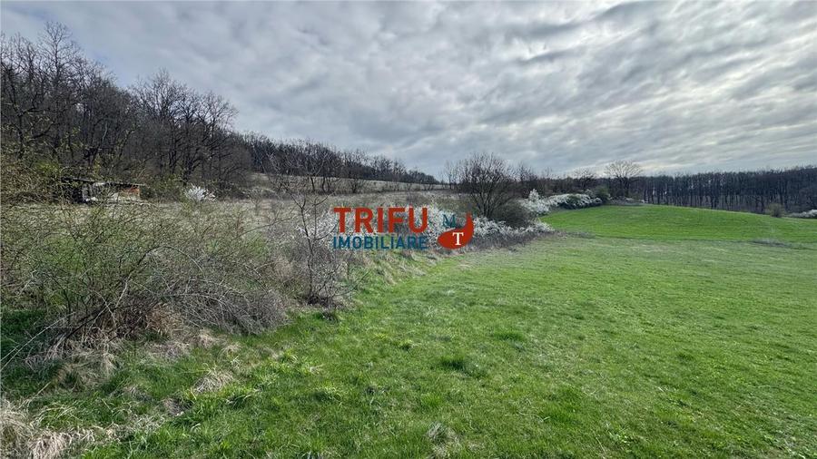 Teren Construcții intravilan de 1632 mp, în Ampoița