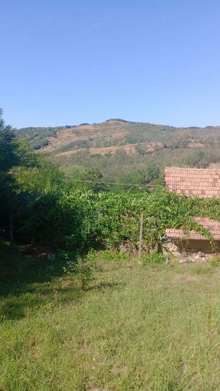 Casă cu 5 camere cu Teren 981 Mp în Blăjani