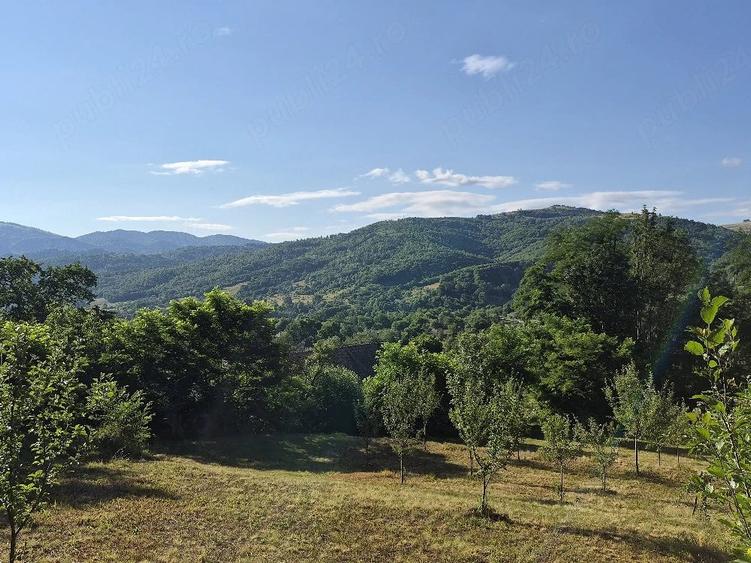 Teren de 1474 mp, în Sălciua