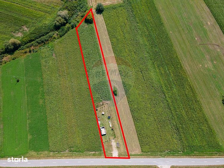 Teren de 3700 mp, în Sântimbru