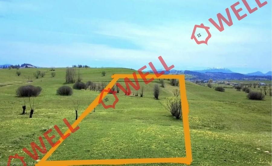 Teren agricol extravilan de 6519 mp, în Sărămaș