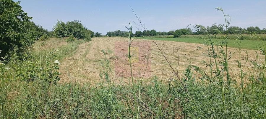 Teren de 665 mp, în Săbăreni