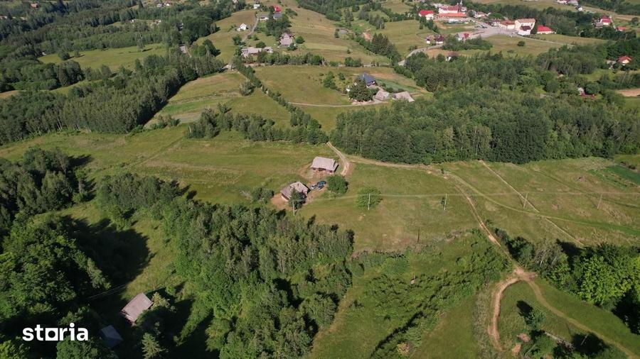 Teren de 38781 mp, în Râșca