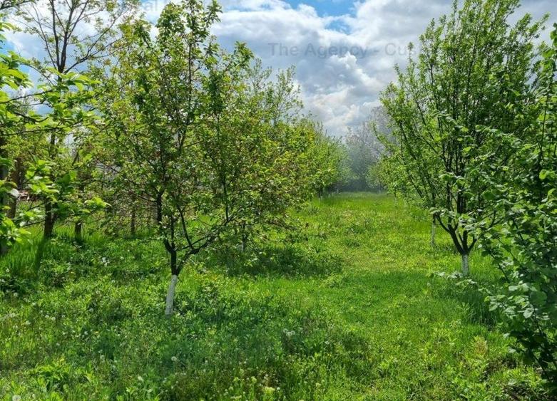 Casă individuală cu 5 camere decomandat cu Canalizare în Corbeanca