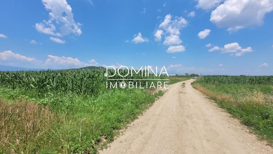 Teren Construcții intravilan de 3504 mp, în Bălești