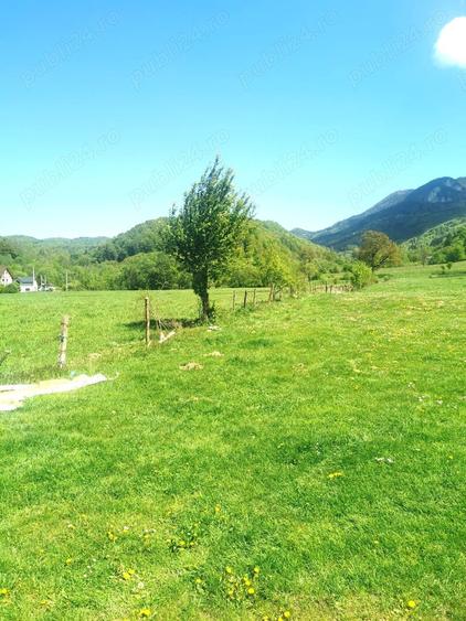 Teren de 25500 mp, în Cheile Râșnoavei